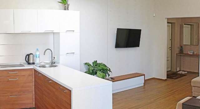 Апартаменты Apartments & TERRASA Одесса-52